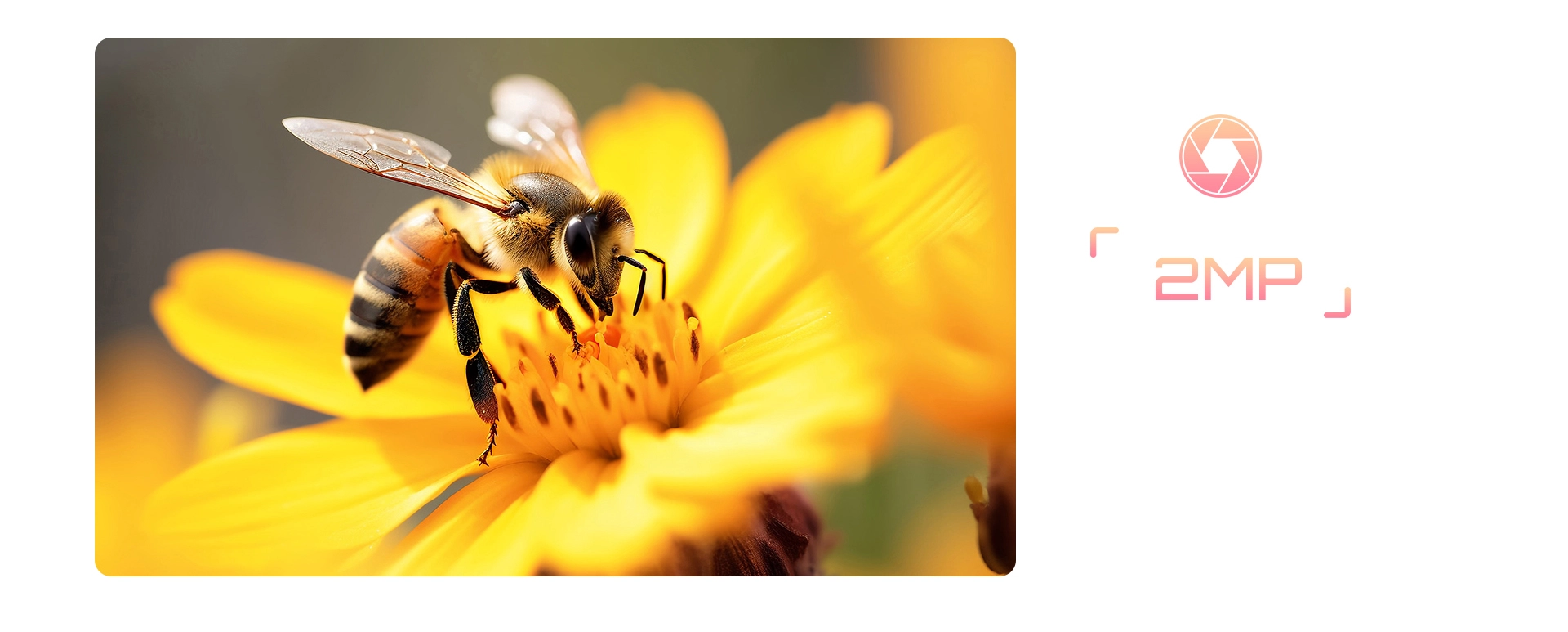 Cubot x100 smart phone